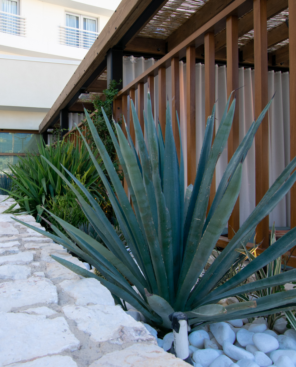 kassi-beach-house-11
